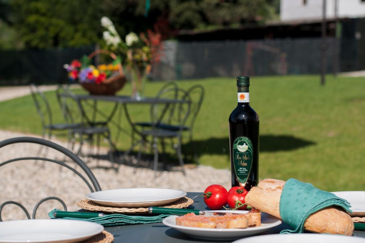 Agriturismo Villa Sardini Lucca Ngoại thất bức ảnh