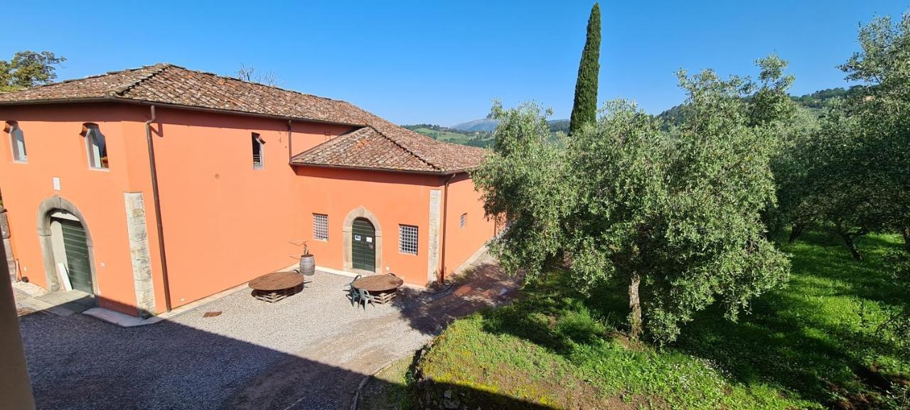 Agriturismo Villa Sardini Lucca Ngoại thất bức ảnh