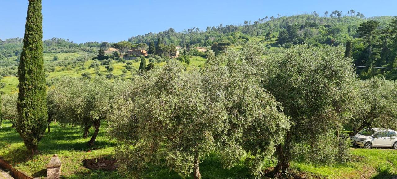 Agriturismo Villa Sardini Lucca Ngoại thất bức ảnh