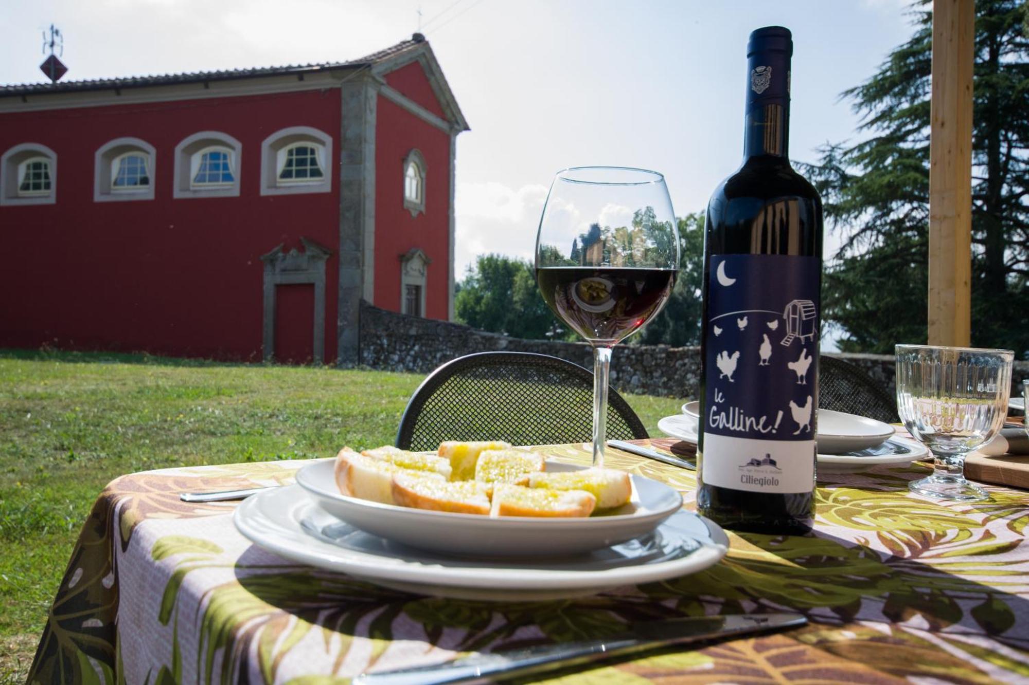 Agriturismo Villa Sardini Lucca Ngoại thất bức ảnh