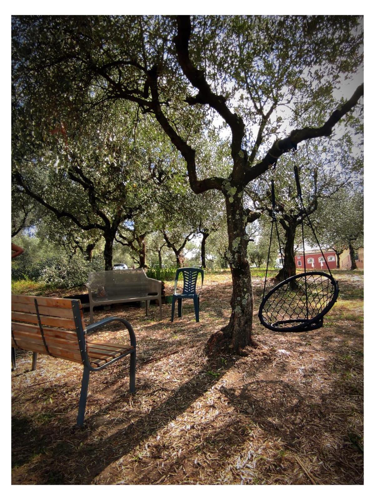Agriturismo Villa Sardini Lucca Ngoại thất bức ảnh