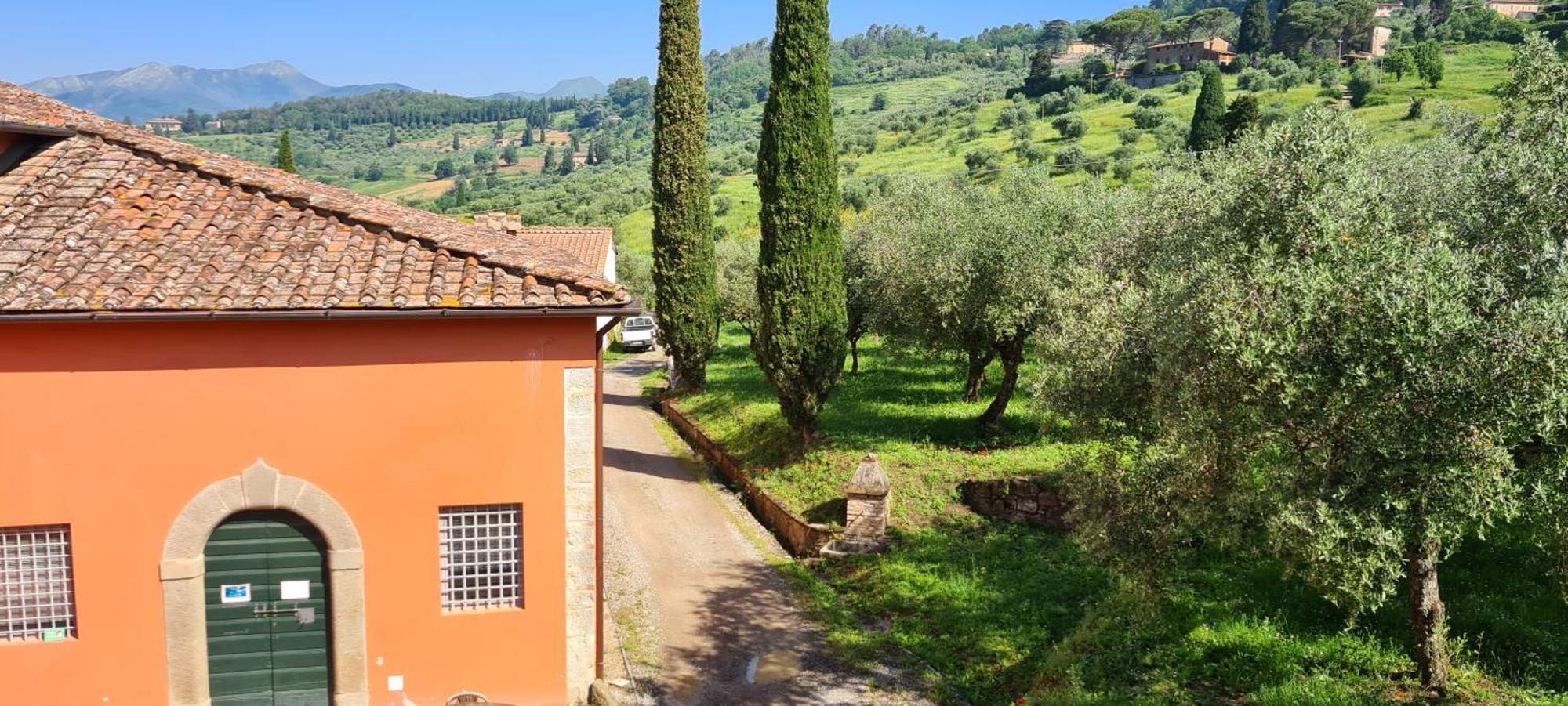 Agriturismo Villa Sardini Lucca Ngoại thất bức ảnh